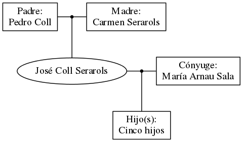 This is a graph with borders and nodes. Maybe there is an Imagemap used so the nodes may be linking to some Pages.