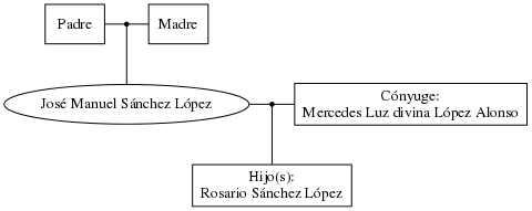 This is a graph with borders and nodes. Maybe there is an Imagemap used so the nodes may be linking to some Pages.