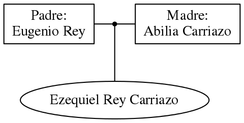 This is a graph with borders and nodes. Maybe there is an Imagemap used so the nodes may be linking to some Pages.