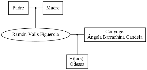 This is a graph with borders and nodes. Maybe there is an Imagemap used so the nodes may be linking to some Pages.