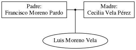 This is a graph with borders and nodes. Maybe there is an Imagemap used so the nodes may be linking to some Pages.