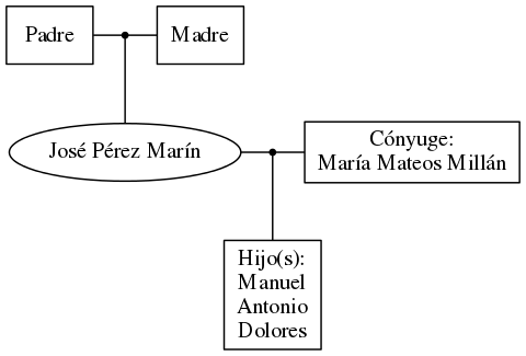 This is a graph with borders and nodes. Maybe there is an Imagemap used so the nodes may be linking to some Pages.