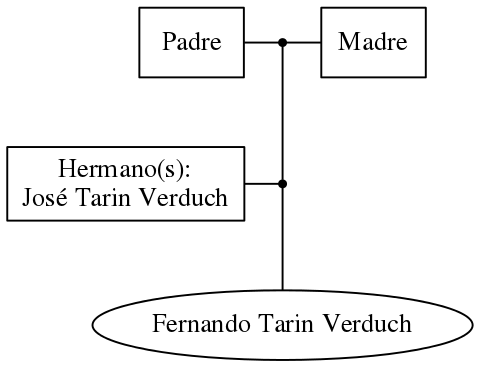 This is a graph with borders and nodes. Maybe there is an Imagemap used so the nodes may be linking to some Pages.