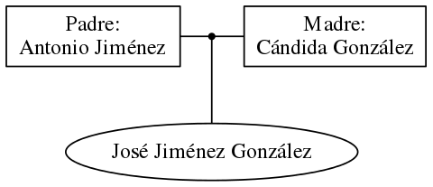 This is a graph with borders and nodes. Maybe there is an Imagemap used so the nodes may be linking to some Pages.