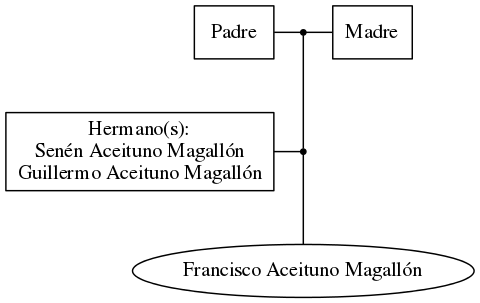 This is a graph with borders and nodes. Maybe there is an Imagemap used so the nodes may be linking to some Pages.