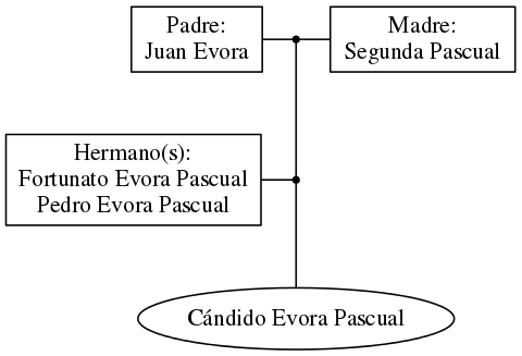 This is a graph with borders and nodes. Maybe there is an Imagemap used so the nodes may be linking to some Pages.