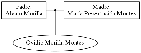 This is a graph with borders and nodes. Maybe there is an Imagemap used so the nodes may be linking to some Pages.