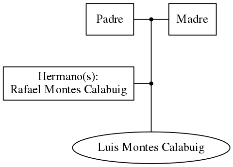 This is a graph with borders and nodes. Maybe there is an Imagemap used so the nodes may be linking to some Pages.