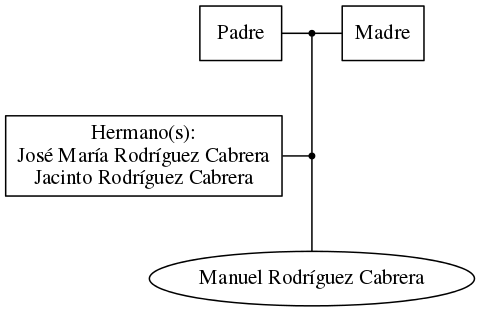 This is a graph with borders and nodes. Maybe there is an Imagemap used so the nodes may be linking to some Pages.