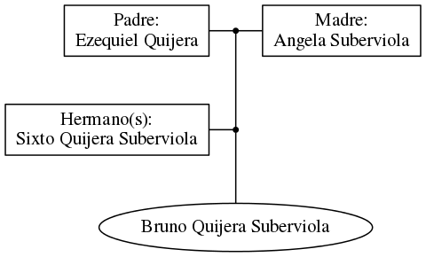 This is a graph with borders and nodes. Maybe there is an Imagemap used so the nodes may be linking to some Pages.