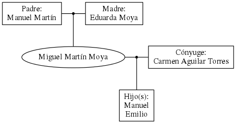 This is a graph with borders and nodes. Maybe there is an Imagemap used so the nodes may be linking to some Pages.