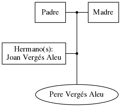 This is a graph with borders and nodes. Maybe there is an Imagemap used so the nodes may be linking to some Pages.