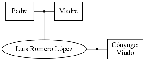 This is a graph with borders and nodes. Maybe there is an Imagemap used so the nodes may be linking to some Pages.