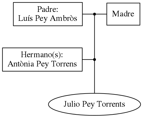 This is a graph with borders and nodes. Maybe there is an Imagemap used so the nodes may be linking to some Pages.