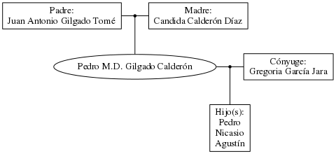 This is a graph with borders and nodes. Maybe there is an Imagemap used so the nodes may be linking to some Pages.