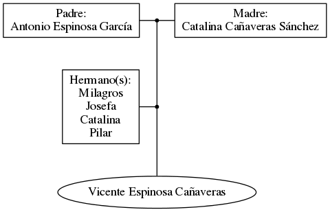 This is a graph with borders and nodes. Maybe there is an Imagemap used so the nodes may be linking to some Pages.