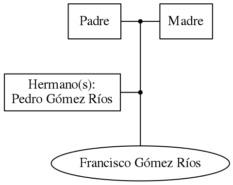 This is a graph with borders and nodes. Maybe there is an Imagemap used so the nodes may be linking to some Pages.