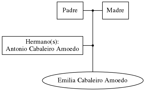 This is a graph with borders and nodes. Maybe there is an Imagemap used so the nodes may be linking to some Pages.