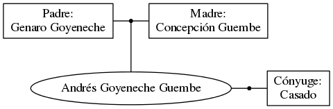 This is a graph with borders and nodes. Maybe there is an Imagemap used so the nodes may be linking to some Pages.