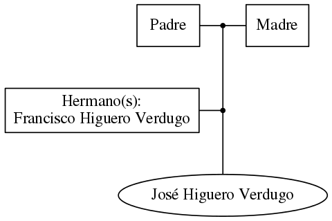 This is a graph with borders and nodes. Maybe there is an Imagemap used so the nodes may be linking to some Pages.