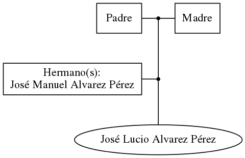 This is a graph with borders and nodes. Maybe there is an Imagemap used so the nodes may be linking to some Pages.