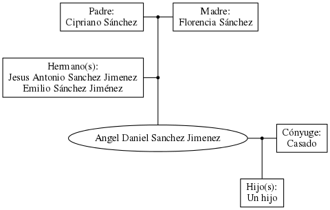 This is a graph with borders and nodes. Maybe there is an Imagemap used so the nodes may be linking to some Pages.