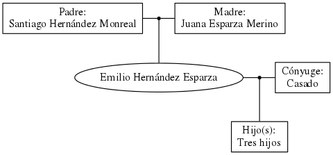 This is a graph with borders and nodes. Maybe there is an Imagemap used so the nodes may be linking to some Pages.