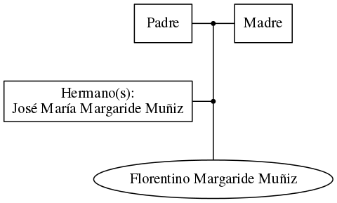 This is a graph with borders and nodes. Maybe there is an Imagemap used so the nodes may be linking to some Pages.