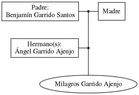 This is a graph with borders and nodes. Maybe there is an Imagemap used so the nodes may be linking to some Pages.