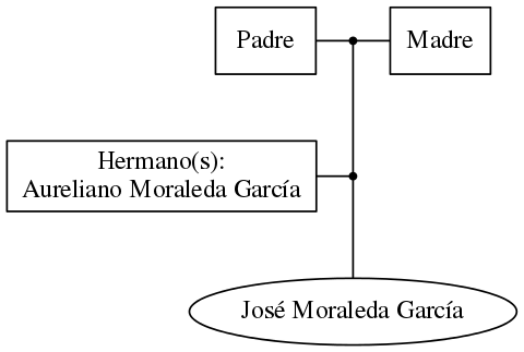 This is a graph with borders and nodes. Maybe there is an Imagemap used so the nodes may be linking to some Pages.