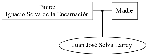 This is a graph with borders and nodes. Maybe there is an Imagemap used so the nodes may be linking to some Pages.