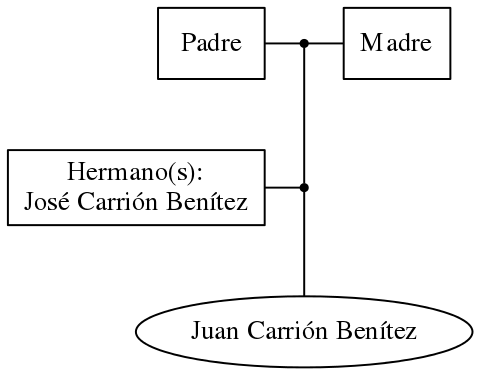 This is a graph with borders and nodes. Maybe there is an Imagemap used so the nodes may be linking to some Pages.