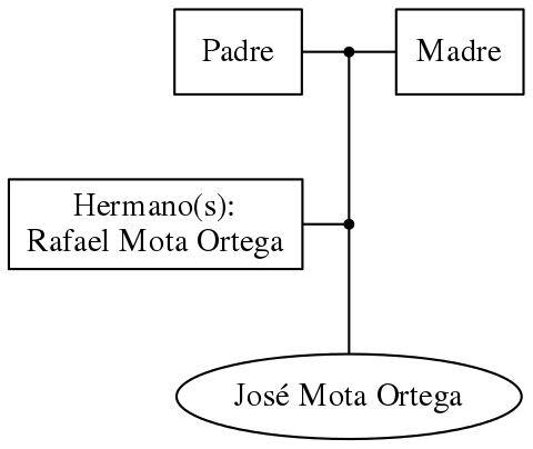 This is a graph with borders and nodes. Maybe there is an Imagemap used so the nodes may be linking to some Pages.