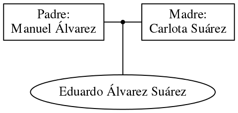 This is a graph with borders and nodes. Maybe there is an Imagemap used so the nodes may be linking to some Pages.