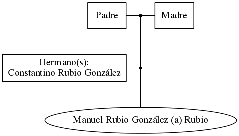 This is a graph with borders and nodes. Maybe there is an Imagemap used so the nodes may be linking to some Pages.