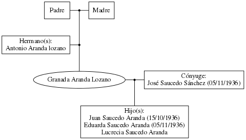 This is a graph with borders and nodes. Maybe there is an Imagemap used so the nodes may be linking to some Pages.