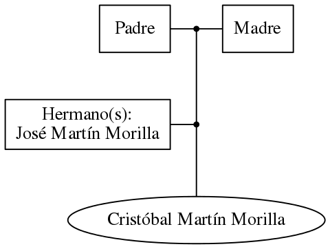 This is a graph with borders and nodes. Maybe there is an Imagemap used so the nodes may be linking to some Pages.