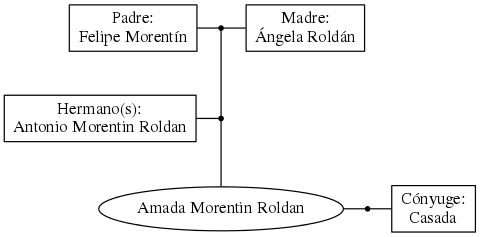 This is a graph with borders and nodes. Maybe there is an Imagemap used so the nodes may be linking to some Pages.