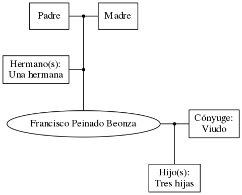 This is a graph with borders and nodes. Maybe there is an Imagemap used so the nodes may be linking to some Pages.