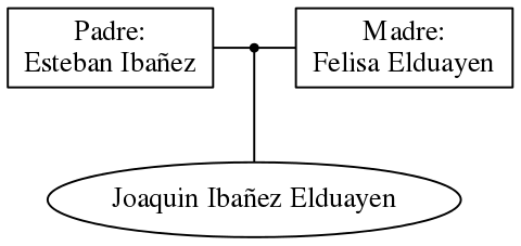 This is a graph with borders and nodes. Maybe there is an Imagemap used so the nodes may be linking to some Pages.