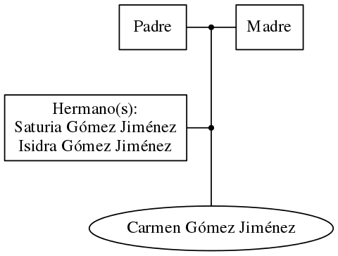 This is a graph with borders and nodes. Maybe there is an Imagemap used so the nodes may be linking to some Pages.