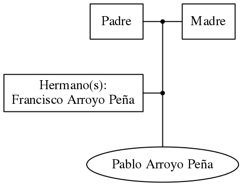 This is a graph with borders and nodes. Maybe there is an Imagemap used so the nodes may be linking to some Pages.