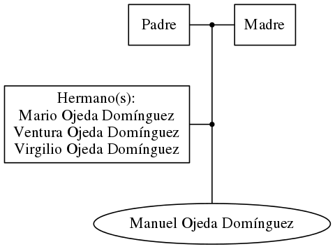 This is a graph with borders and nodes. Maybe there is an Imagemap used so the nodes may be linking to some Pages.