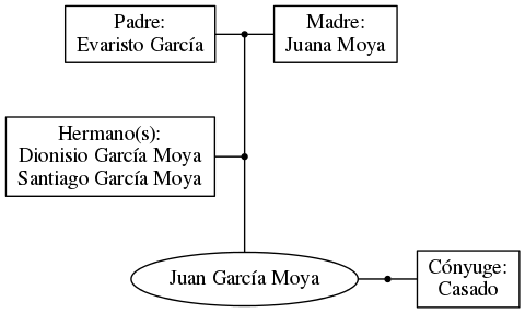 This is a graph with borders and nodes. Maybe there is an Imagemap used so the nodes may be linking to some Pages.