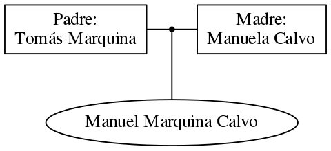 This is a graph with borders and nodes. Maybe there is an Imagemap used so the nodes may be linking to some Pages.