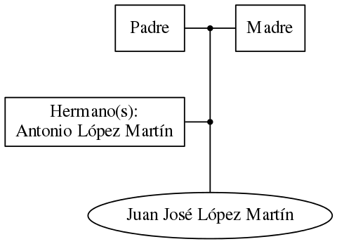 This is a graph with borders and nodes. Maybe there is an Imagemap used so the nodes may be linking to some Pages.