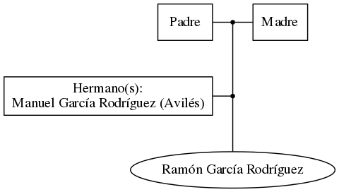 This is a graph with borders and nodes. Maybe there is an Imagemap used so the nodes may be linking to some Pages.