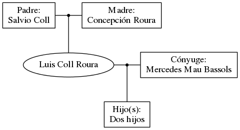 This is a graph with borders and nodes. Maybe there is an Imagemap used so the nodes may be linking to some Pages.