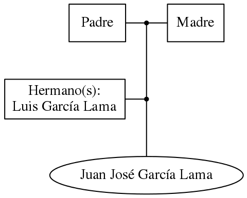 This is a graph with borders and nodes. Maybe there is an Imagemap used so the nodes may be linking to some Pages.