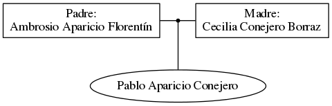 This is a graph with borders and nodes. Maybe there is an Imagemap used so the nodes may be linking to some Pages.